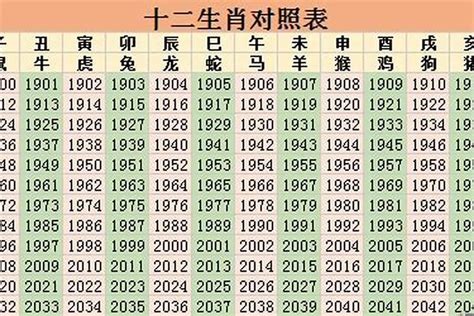 2023年属|2023年属什么生肖